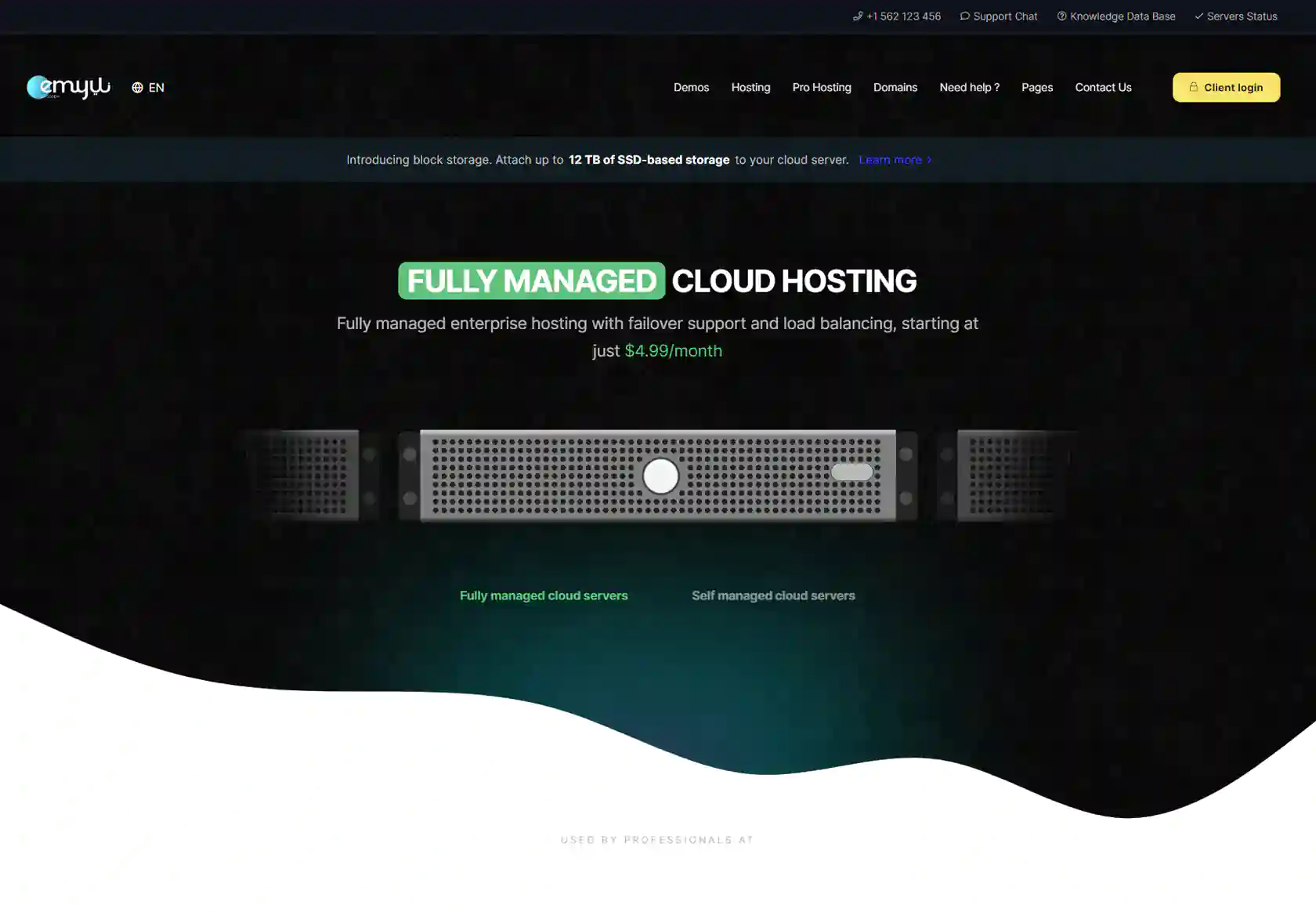 EMYUI WHMCS Client Theme - homepage