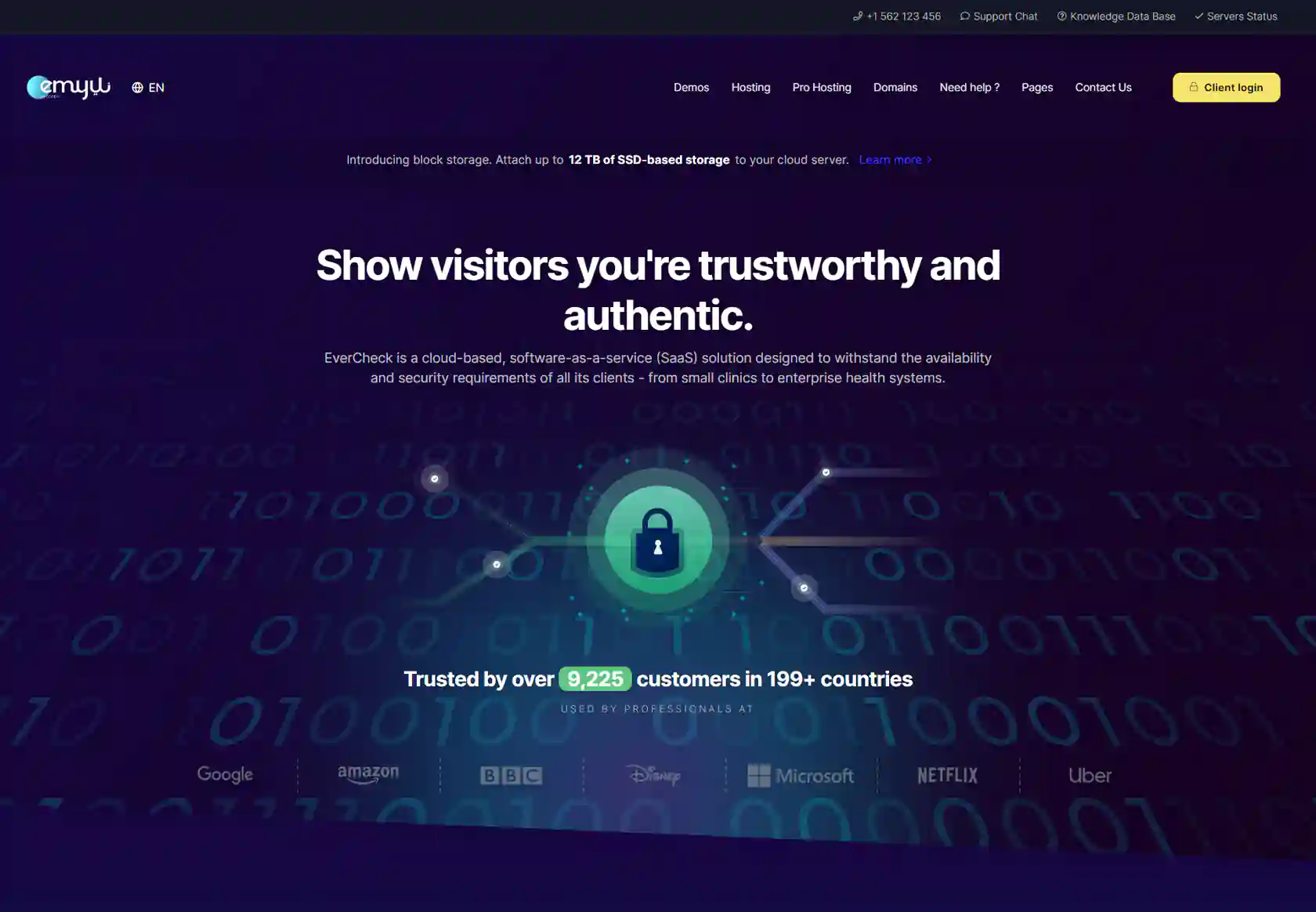 EMYUI WHMCS Client Theme - homepage